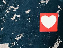 Quelle: jan-antonin-kolar @ unsplash.com