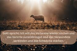 Quelle: elke piechatzek canva