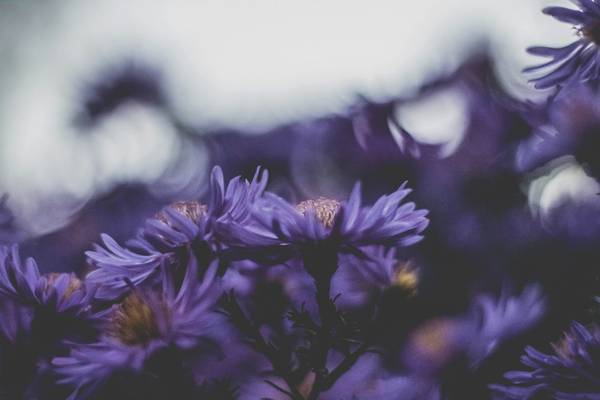 Quelle: jonas-kaiser unsplash